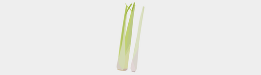 L'huile essentielle de Lemongrass