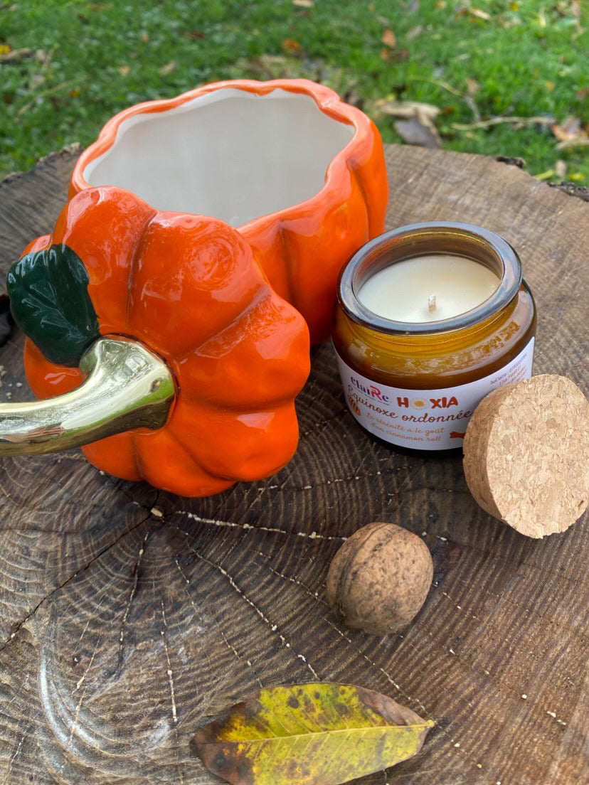 Auclaire x Hoxia : Bougie Equinoxe ordonnĂ© đ