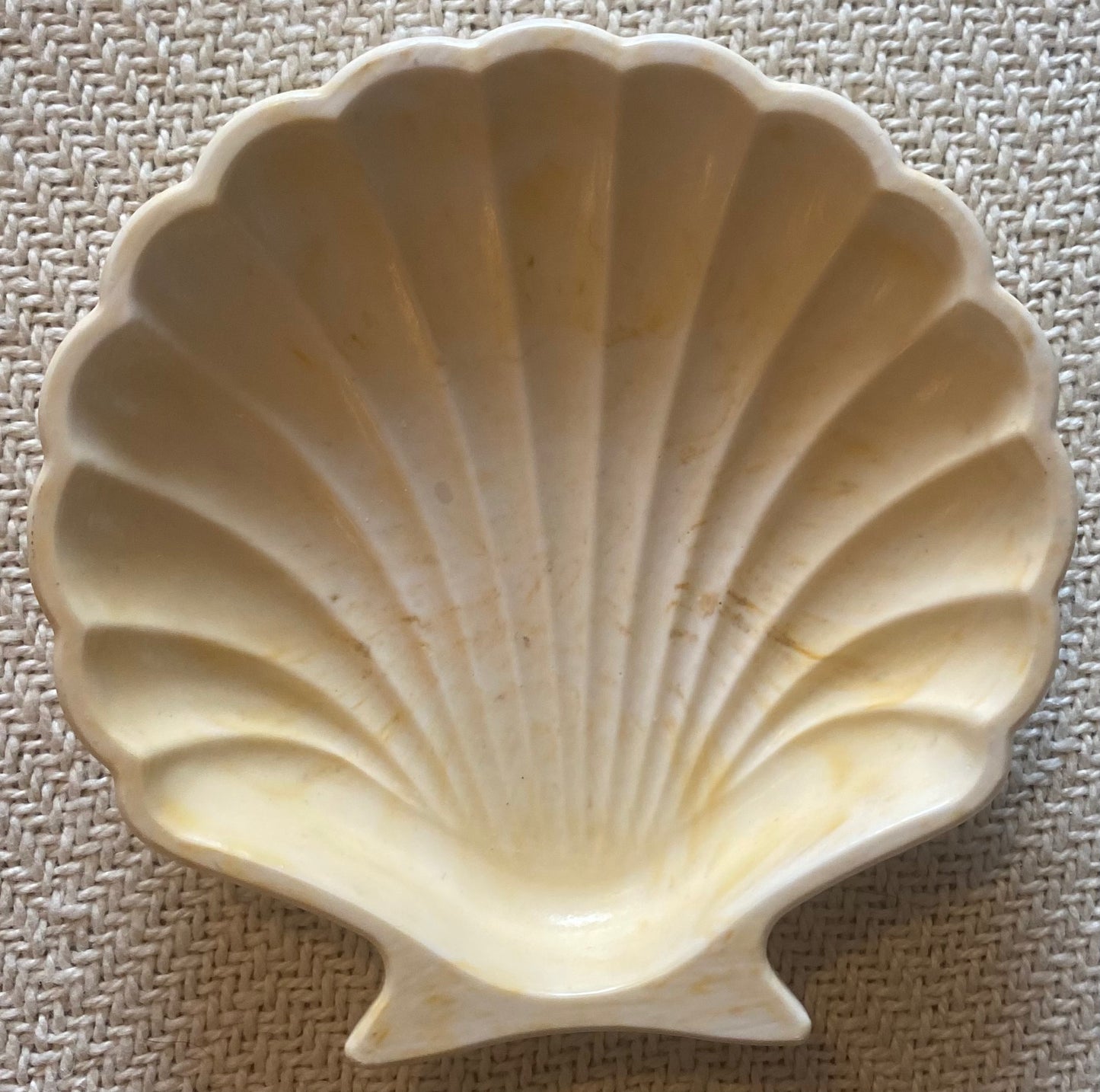 Coquillage