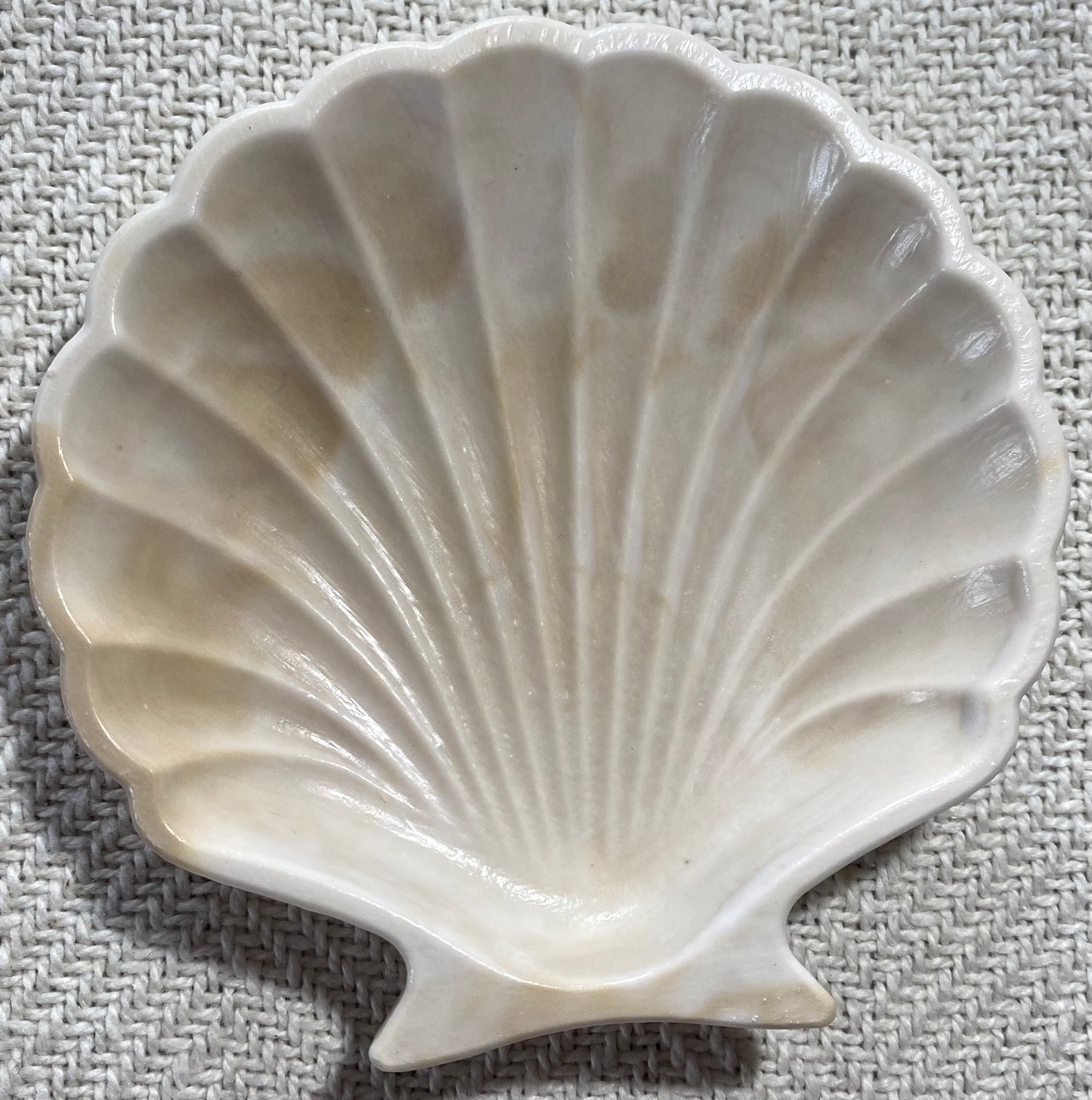 Coquillage