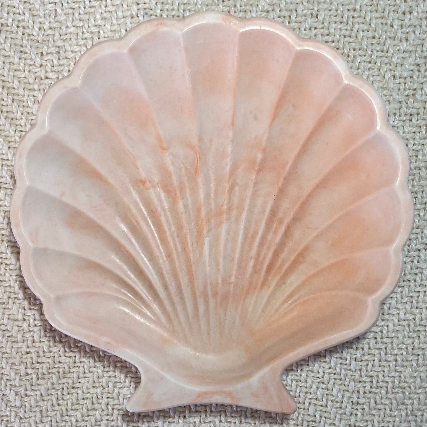 Coquillage