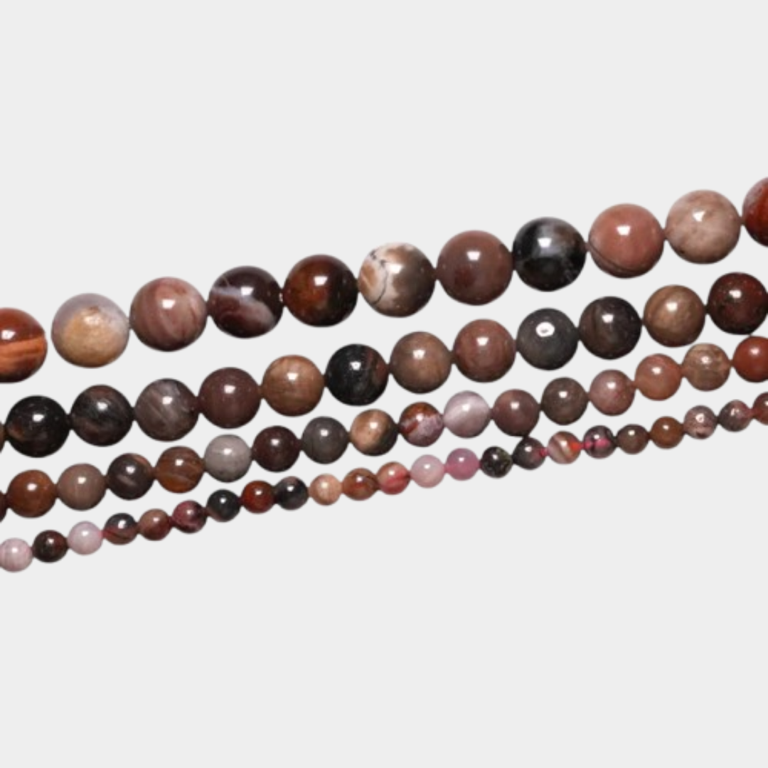 Le bois fossilisé 🤎