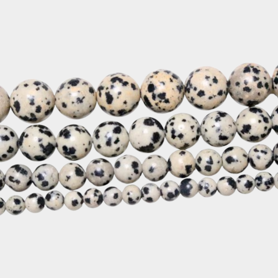 La jaspe dalmatien 🤍