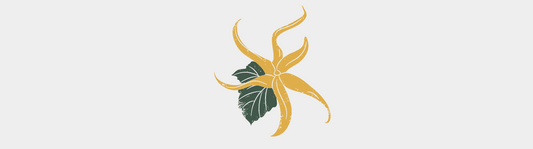 L'huile essentielle d'Ylang-ylang