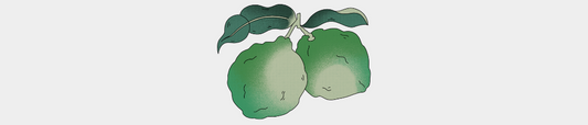L'huile essentielle de Bergamote