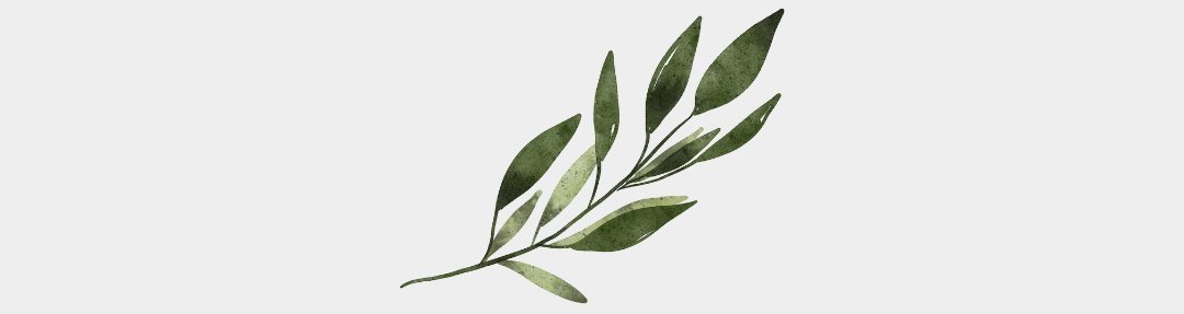 L'huile essentielle de Laurier noble