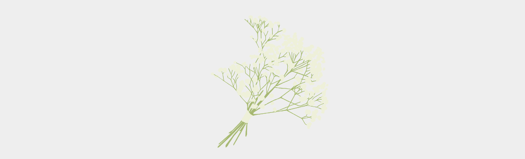 L'huile essentielle de Litsée citronnée