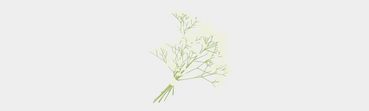 L'huile essentielle de Litsée citronnée