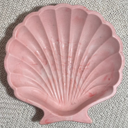 Coquillage