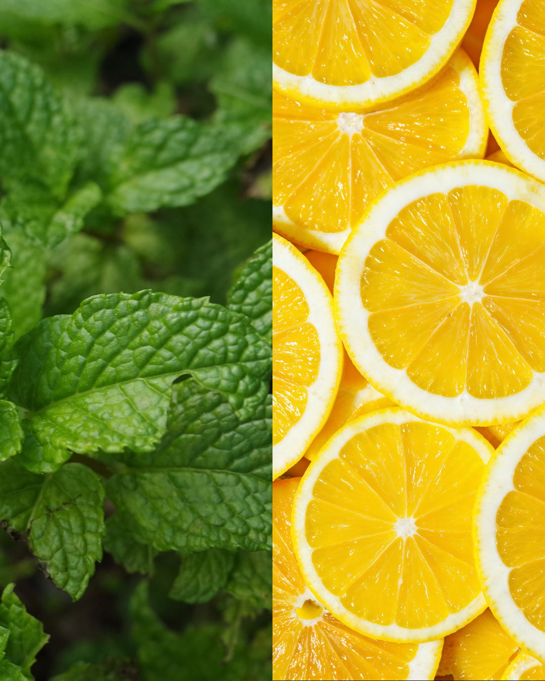 Diffuseur Mojito 🍋