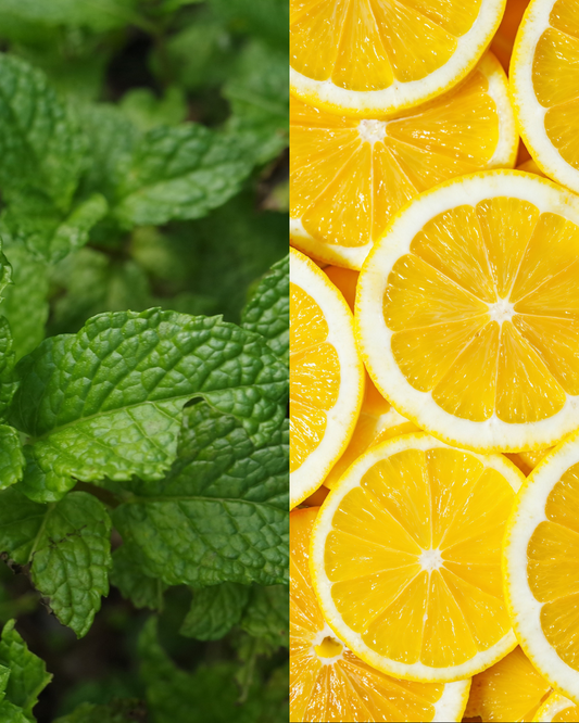 Diffuseur Mojito 🍋