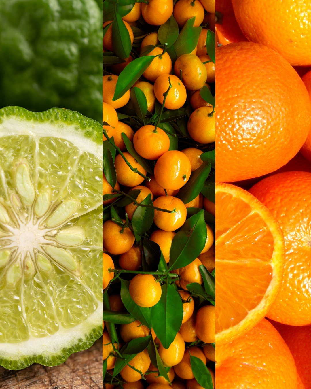 Diffuseur Zeste d'agrumes 🍊