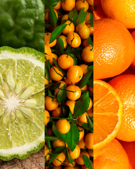 Diffuseur Zeste d'agrumes 🍊